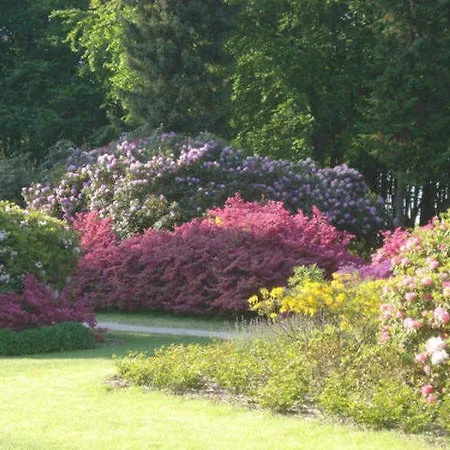 Haus Bernstein 7 * Graal-Mueritz